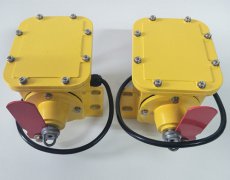 YPZLD-10A縱向撕裂開關(guān)|價(jià)格|使用方法工程案例 YPZLD-10A縱向撕裂開關(guān)|價(jià)格|使用方法工程案例